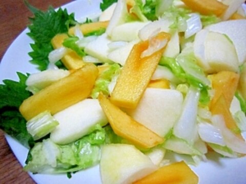 秋の味覚☆柿とリンゴと白菜のサラダ